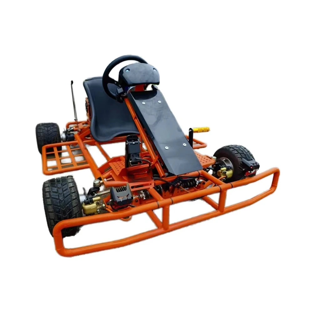 Professional Single Seat Electric Go Kart for Outdoor Use Optional Hand Brake Rear Wing Motor Chain Drive Drift Kart