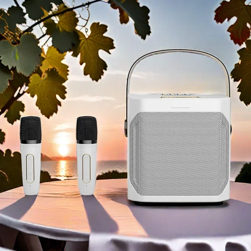 Karaoke Bluetooth Speaker Powerful Subwoofer Outdoor Portable Home Theater Party Box with Wireless Microphone Caixa De Som S882