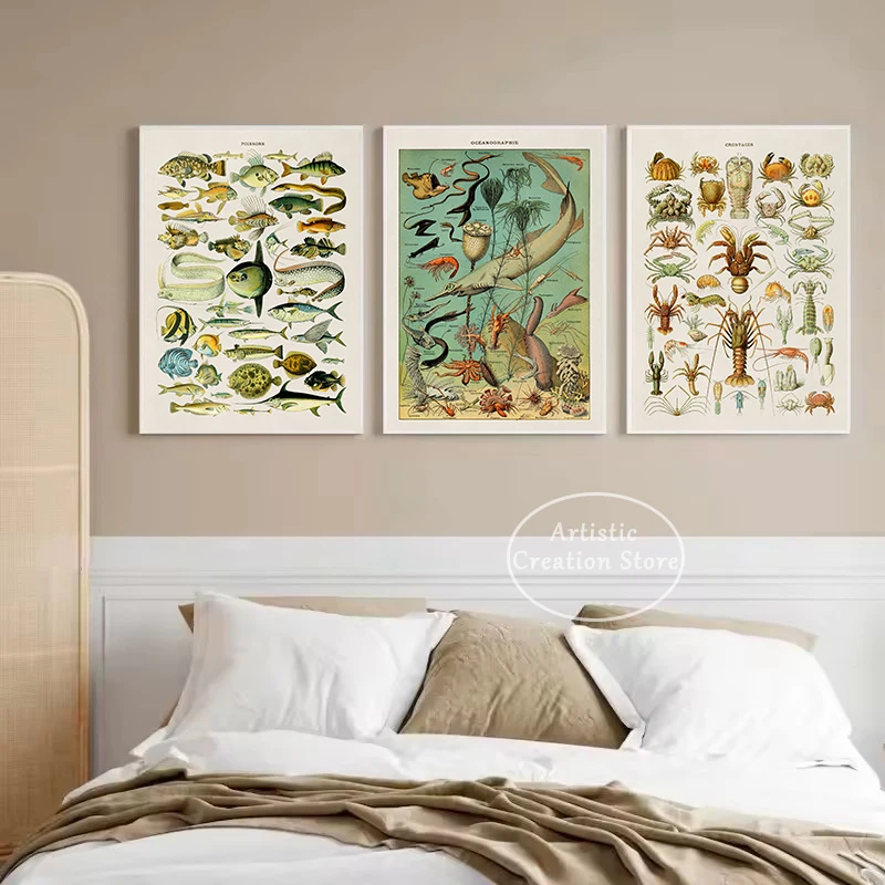 Vintage Marine Life Fish Species Ocean Biology Chart Poster Nautical Sea Life Canvas Painting Wall Art Pictures Home Decor