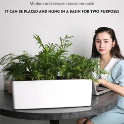 Rectangular Desktop Office Hotel Automatic Water Absorbing Flower Pot Automatic Watering Planter Rectangular Flower Pot