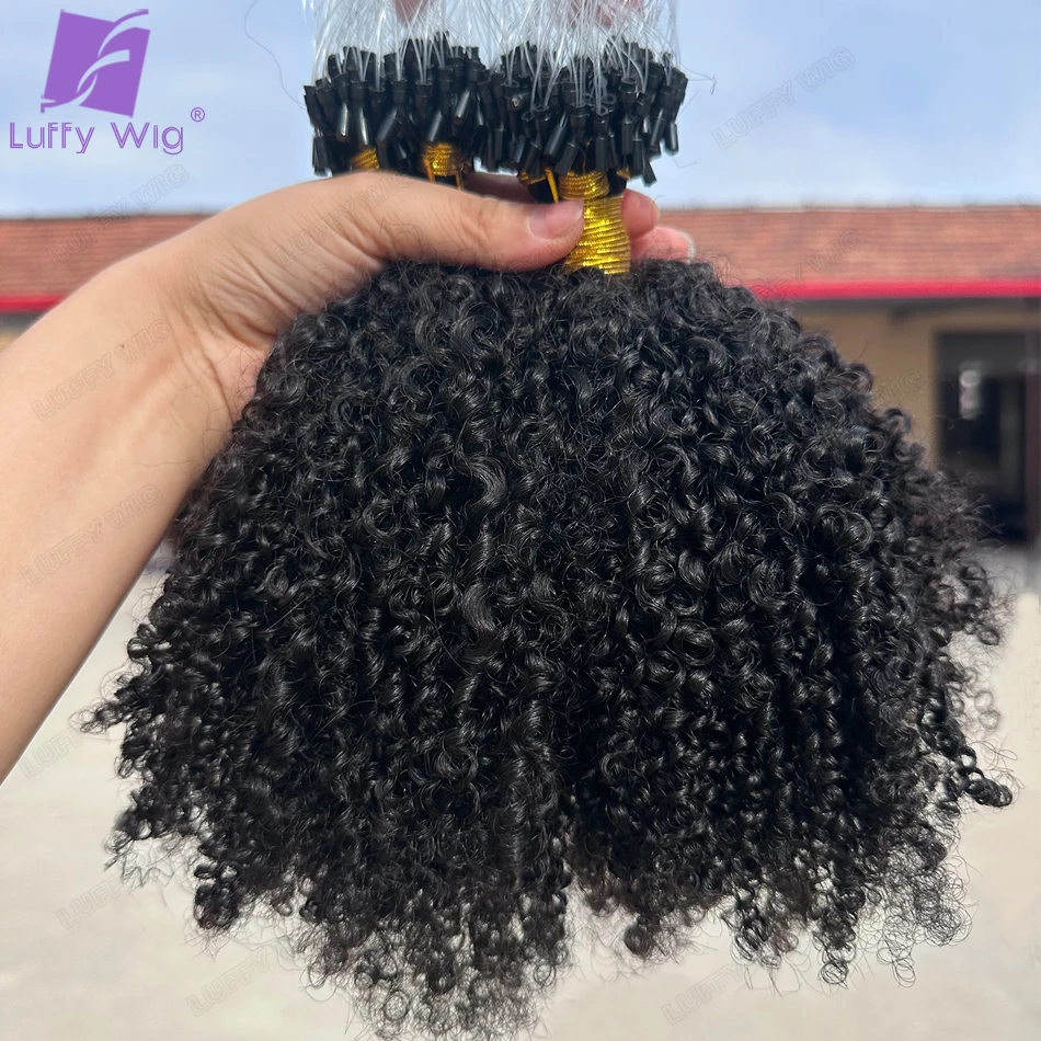 Afro Kinky Curly Micro Loop Extensions Full End Micro Loop Ring Human Hair Extensions Burmese Remy Microlinks Hair Extensions