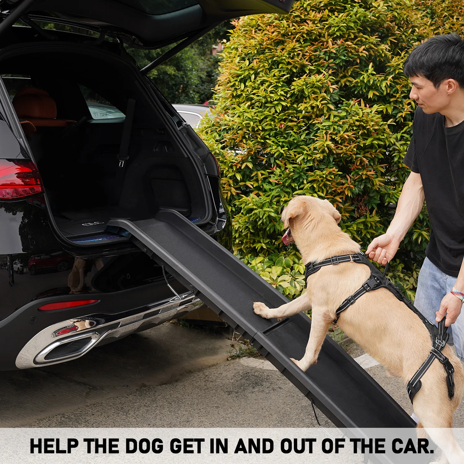 

COODEO Dog Lift Harness Dog Protective Gear Auxiliary Pet Leash Elderly Dog Support Sling Lifter Disabled Dog Walking All Stages