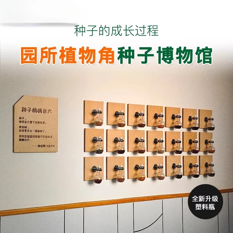 Kindergarten Plant Corner Seed Growth Corner Planting Area Huanchuang Theme Wall Classroom Wall Decoration
