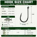 Size 12