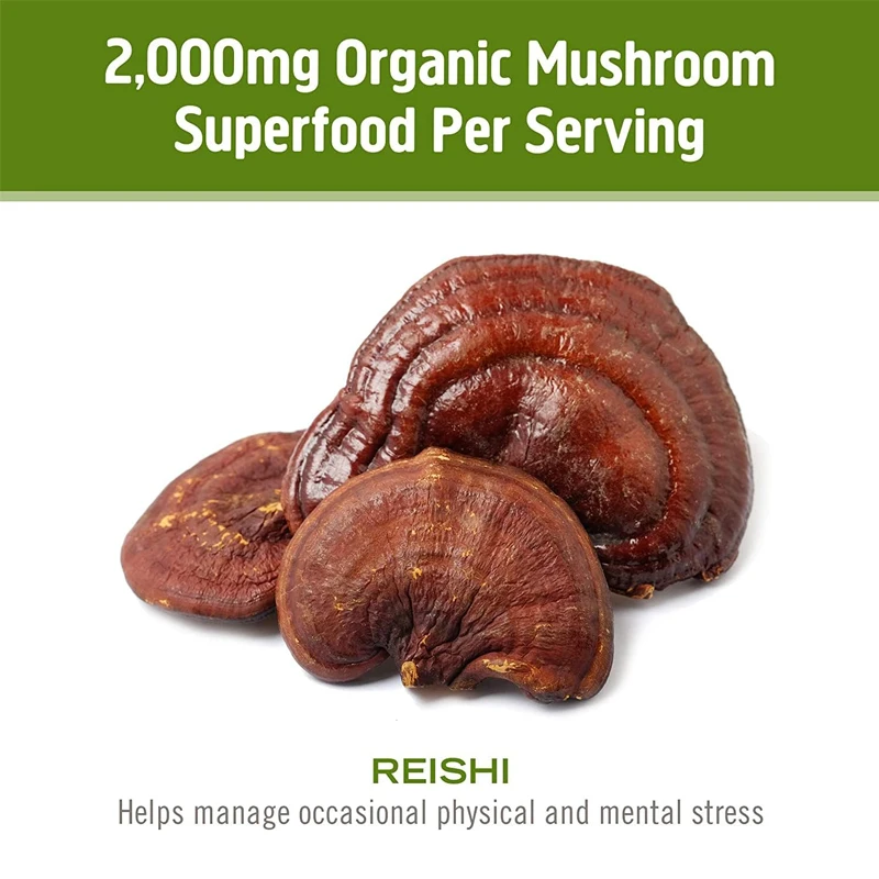 Lingzhi Mushroom Capsules Super Complemento Alimentar 60 cápsulas, 30 dias, adaptado para estresse e suporte imunológico