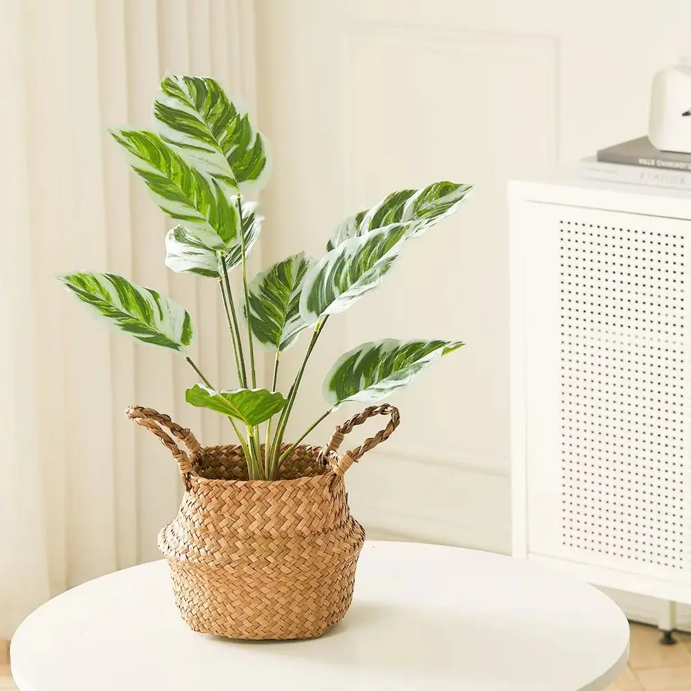 Artificial Outdoor Garden Green Plants with Plastic Pot, Calathea White Fusion