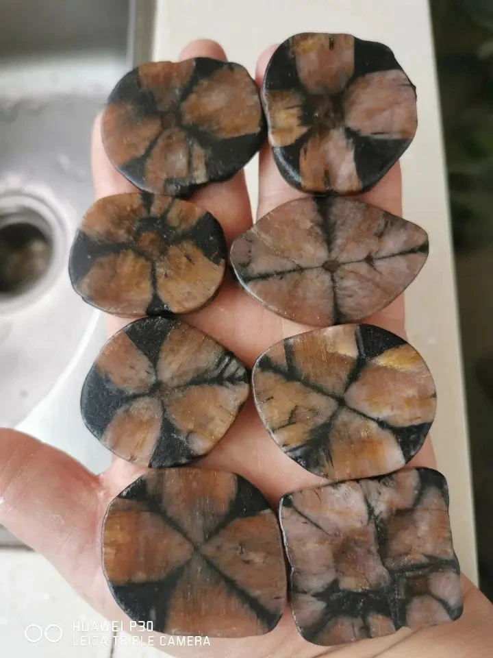 Chiastolite Cross Stones 1pc Bundle  Natural Crystal Semi Polished 1