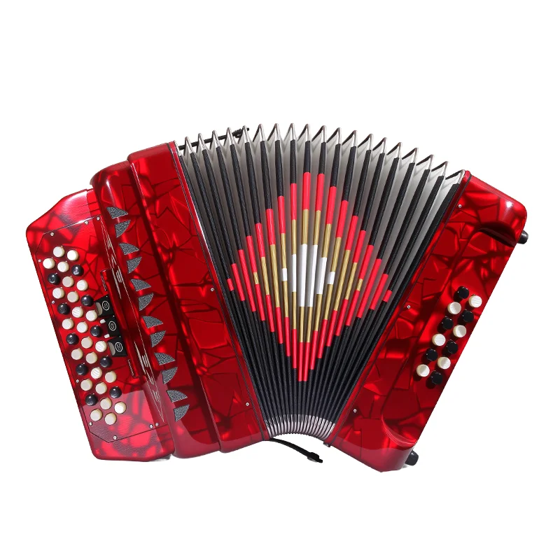 Professional Diatonic Portable Accordion ABS Material for Adult Grading Beginner Keyboard Instrument 34 Keys 12 Bass