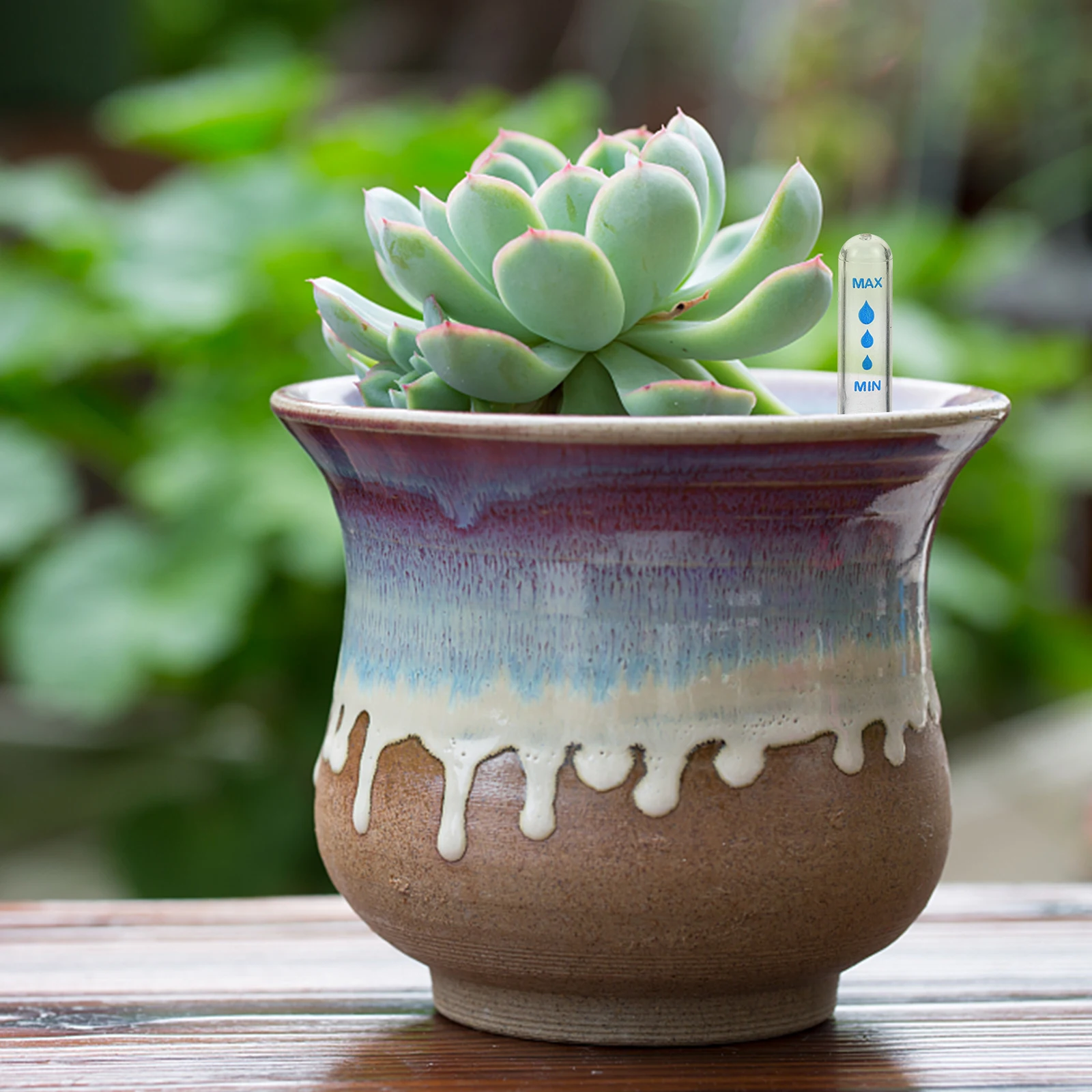 5Pcs Water Level Indicator Caps Clear Protective Float Covers Replacement Accessories for Plant Water Gauge Floating Cap