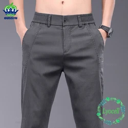 Brand Clothing Spring Summer New Thin Stretch Lyocell Fabric Men's Casual Pants Slim Elastic Waist Business Grey Trousers Male