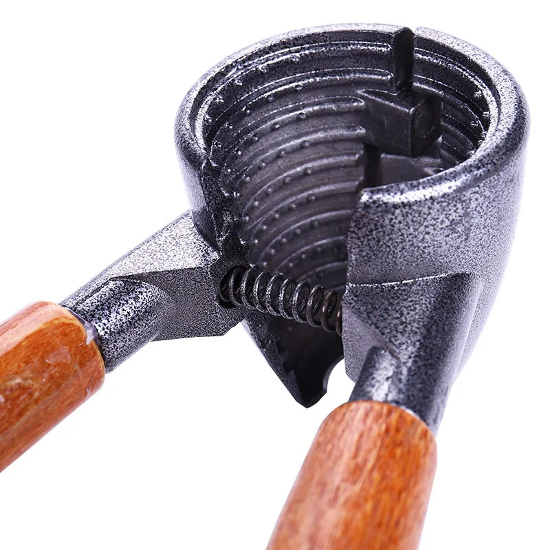 أداة تقشير البقان بمشبك الجوز، كماشة بندق صغيرة منزلية متعددة الوظائف لفتح مكسرات الجوز