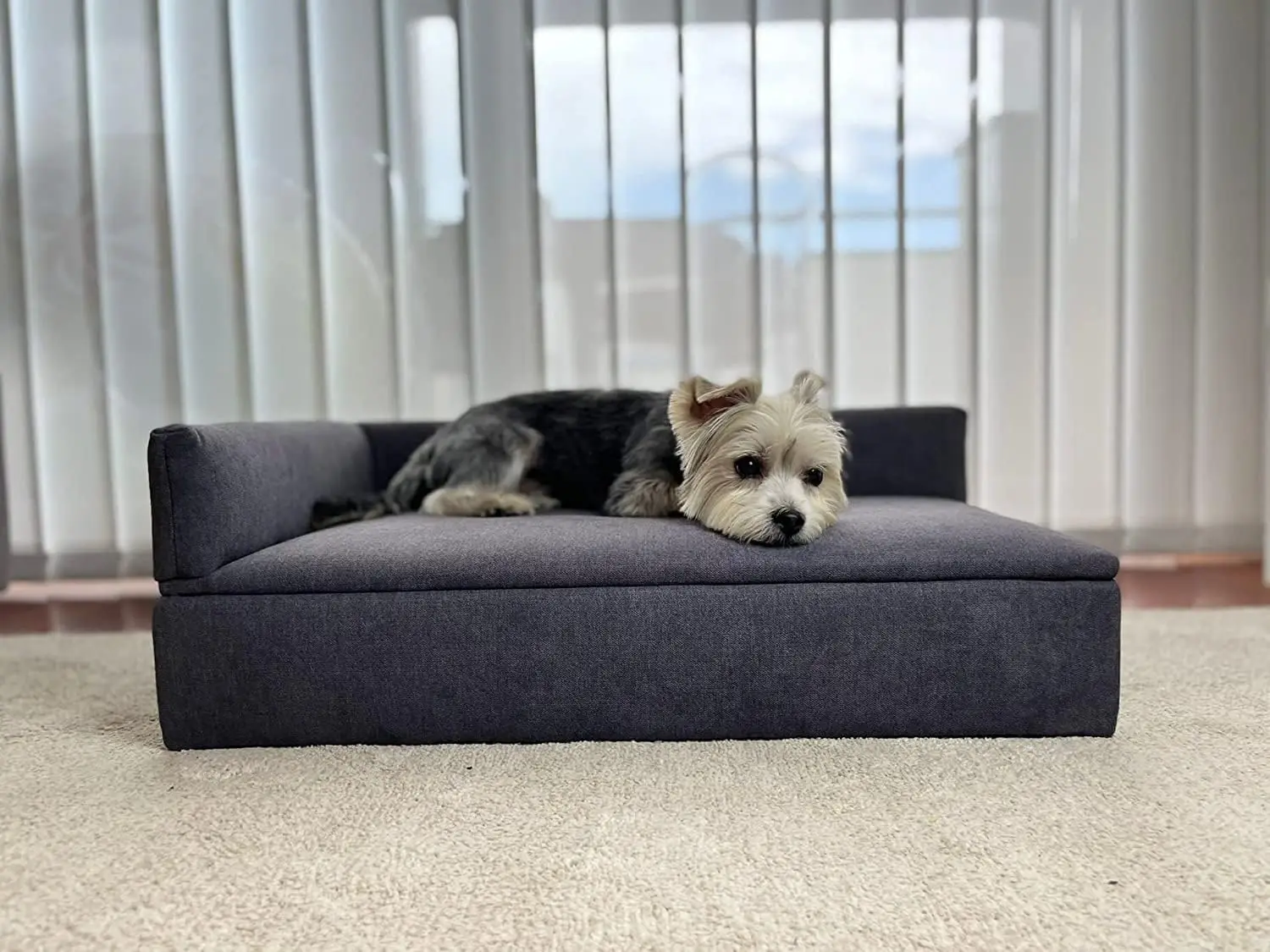 Divano Letto con Cani: Il Comfort Moderno per la Tua Casa con Animali Domestici