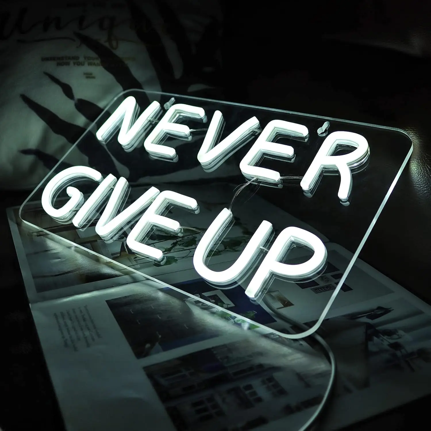 Never Give Up Neon Sign 5V USB Dimmable LED Neon Light for Study Room Home Decoration Wall Art Lighting Birthday Christmas Gift