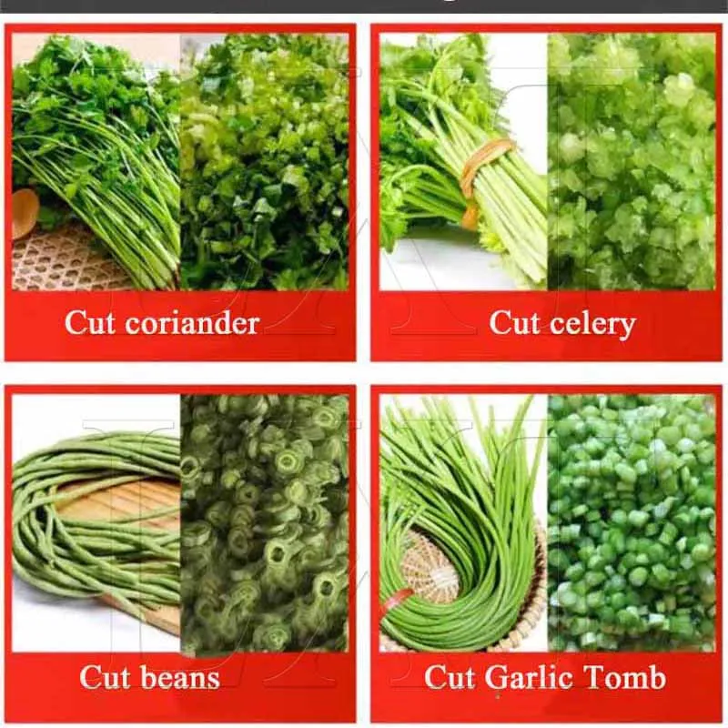 

Multifunctional Electric Vegetable Cutter Commercial Automatic Green Onion Celery Chopping Minced Machine Stainless Steel
