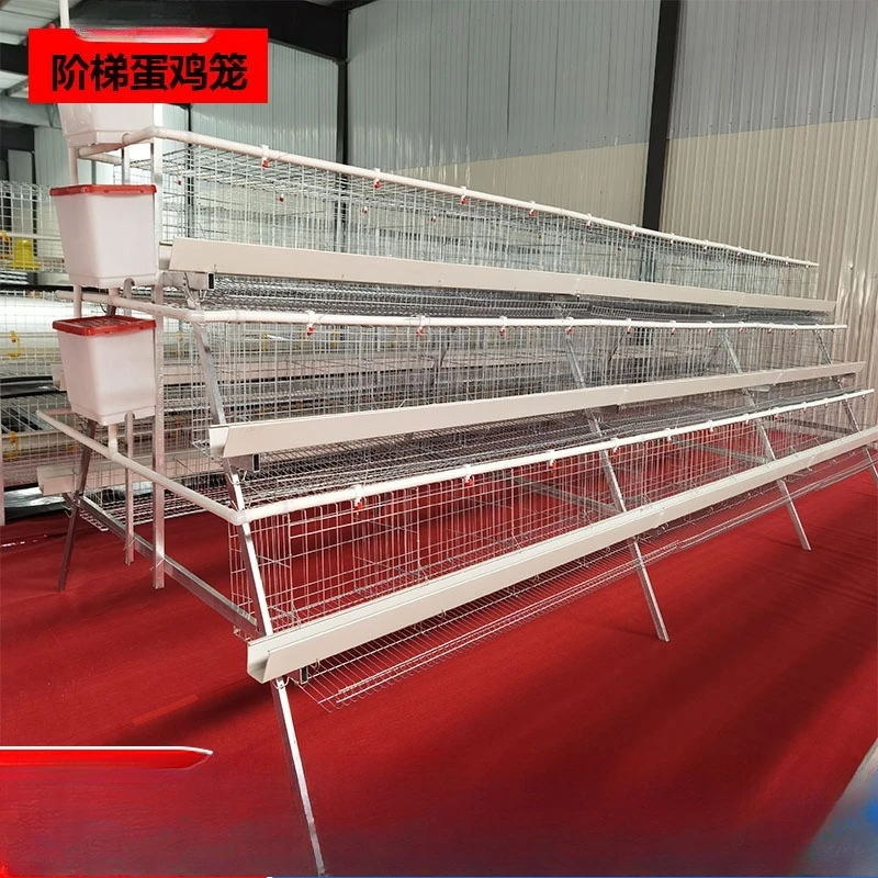 Cold-galvanized Wire Stepped Laying Hen Cages Are Raised in Three and Four Layers of White Troughs and Green Troughs