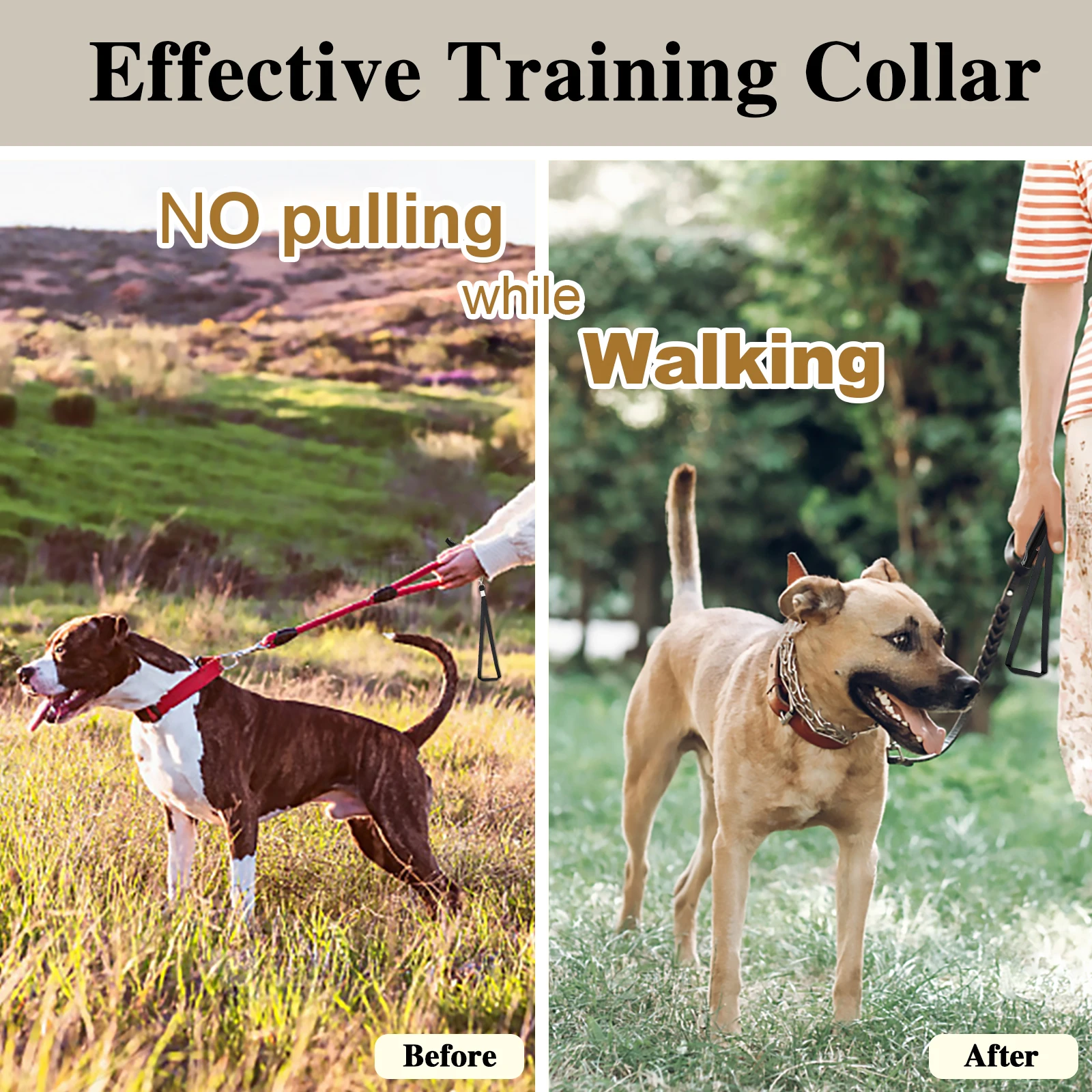 Stainless Steel Pet Link Chain Dog Training Prong Collar Removable Metal Adjustable Spike Necklace with Comfort Rubber Tips