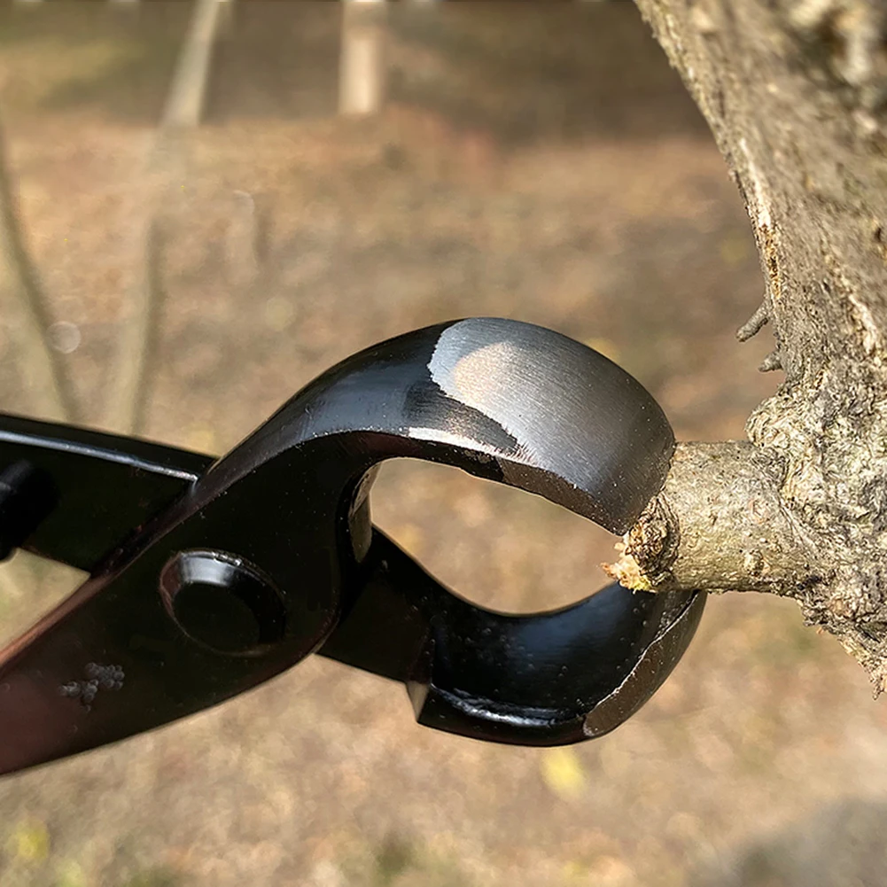 

Round Nose Pliers Potted Tree Knots Pruning Pliers Plants Branch Pruner Cutter