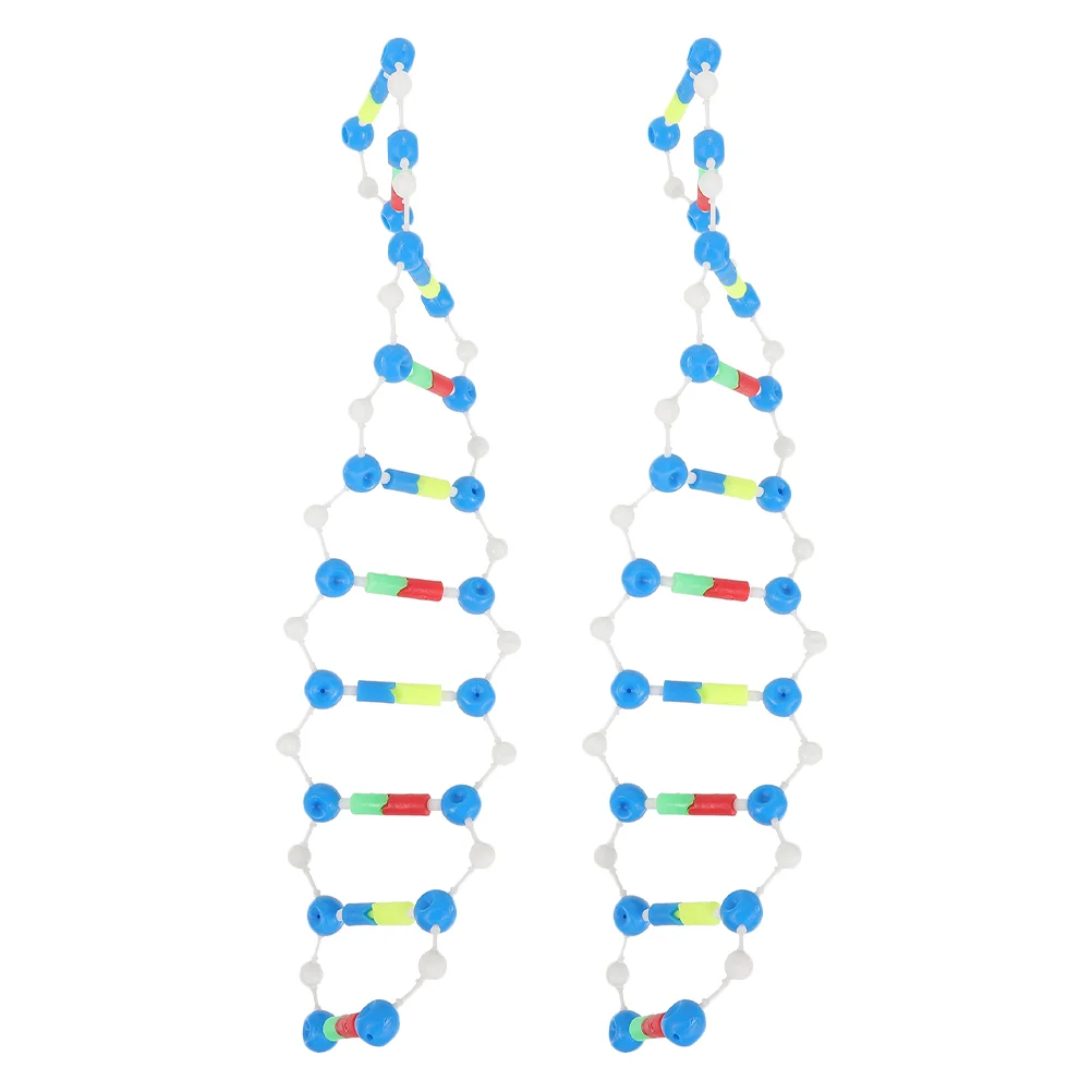 

2 Pcs Tool Teaching Instrument Dna Model Models Plastic Test Kit Science Biology