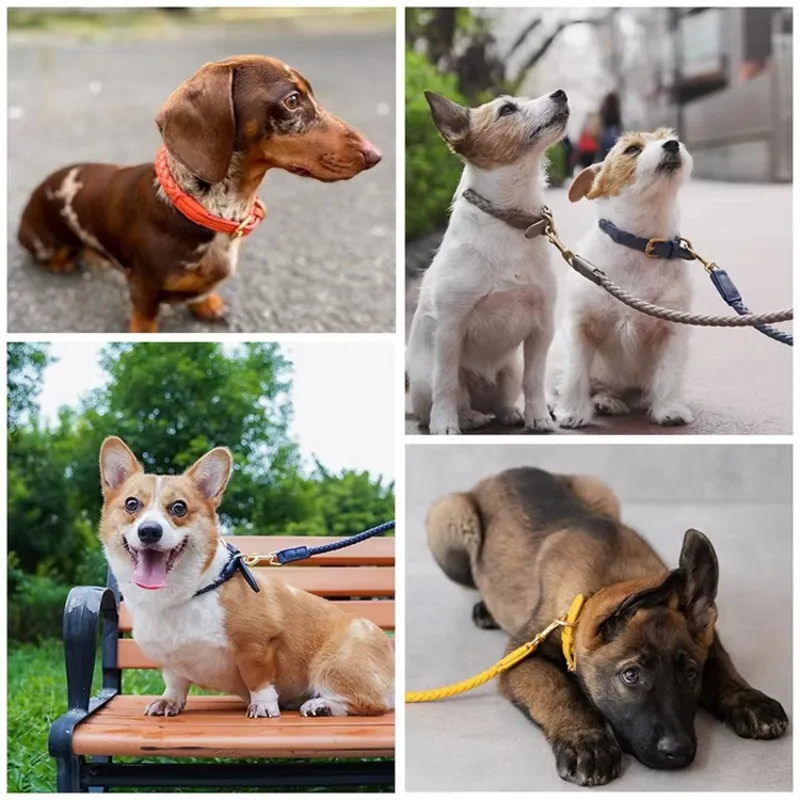 Pet Direct Designer Pet Leads Trançado e Coleiras e Trelas para cães de couro Conjuntos de coleiras para animais de estimação