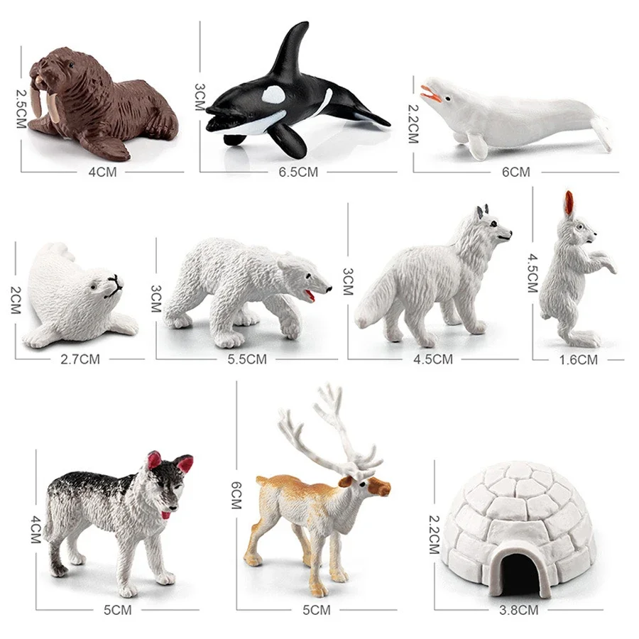 หมีขั้วโลก Arctic Fox Seal Walrus Whale Reindeer ชุดของเล่น Mini ตุ๊กตาสัตว์ Action Figure การสอนของเล่นสําหรับของขวัญเด็ก