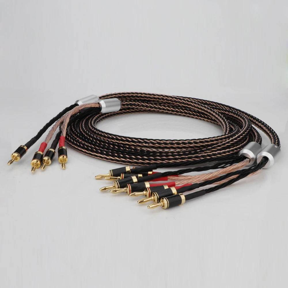 Paar Lautsprecherkabel OCC versilberter Lautsprecher 2 bis 4 Kohlefaser-Bananenstecker Anti-Lärm-Audiokabel für CD-Verstärker-Mixer – Detail 8