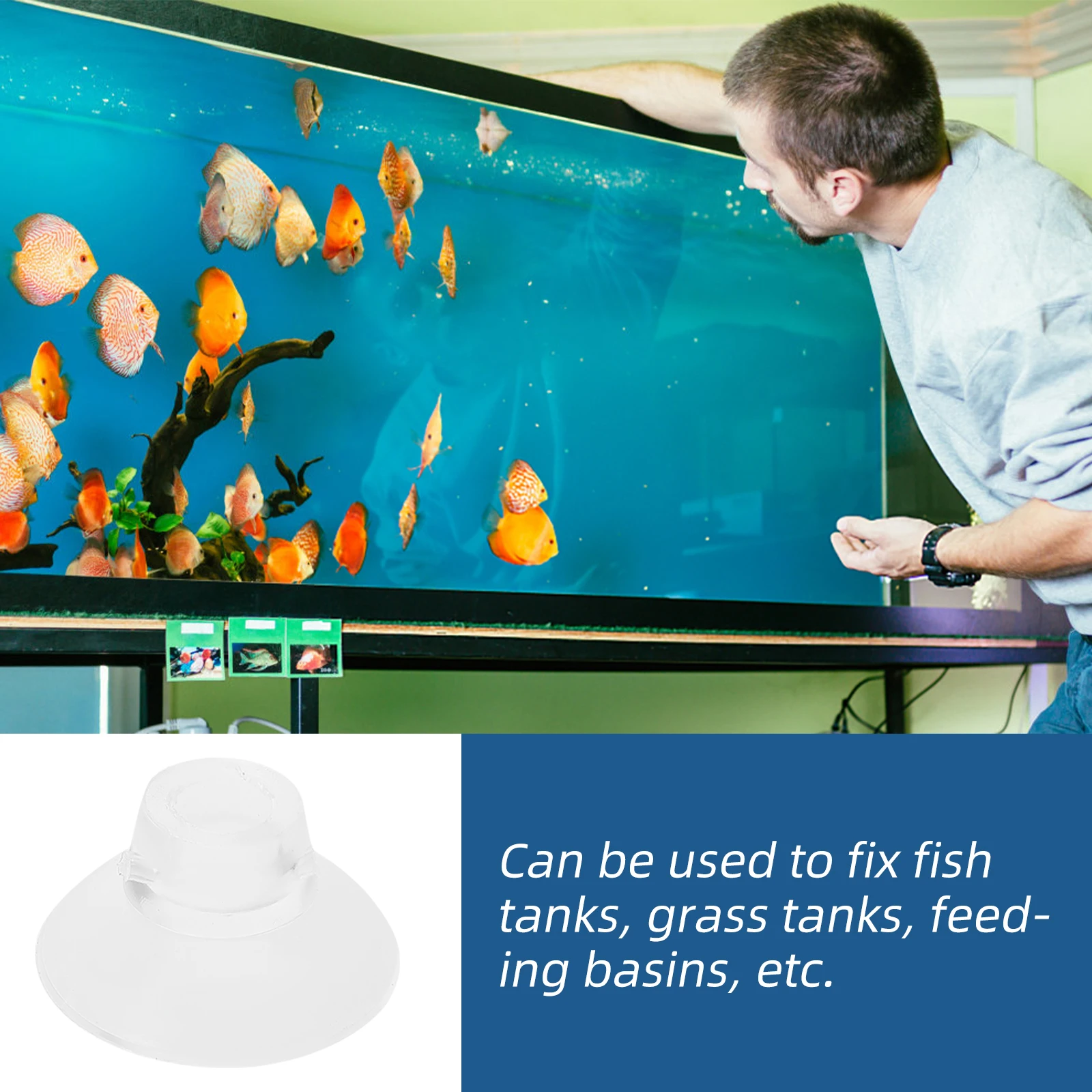 

50 Pcs Feeder Sucker Clear Fish Bowl Suction Cups Aquarium Fixed Grass Tank Baby Accessories Plastic Clips Durability