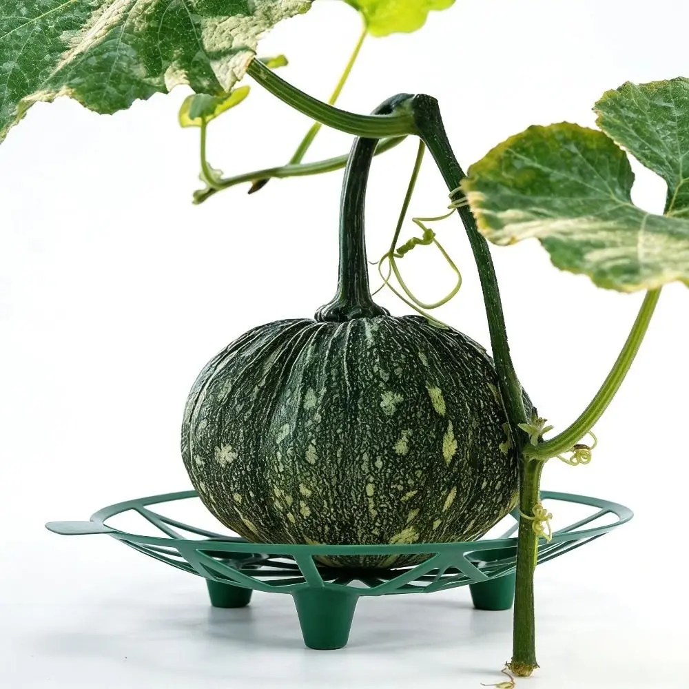 Support Holder Plastic Watermelon Stand Anti- Rotting Plant Support Fruit Bracket Hollow Out Stable Design Fruit Tray Vegetable