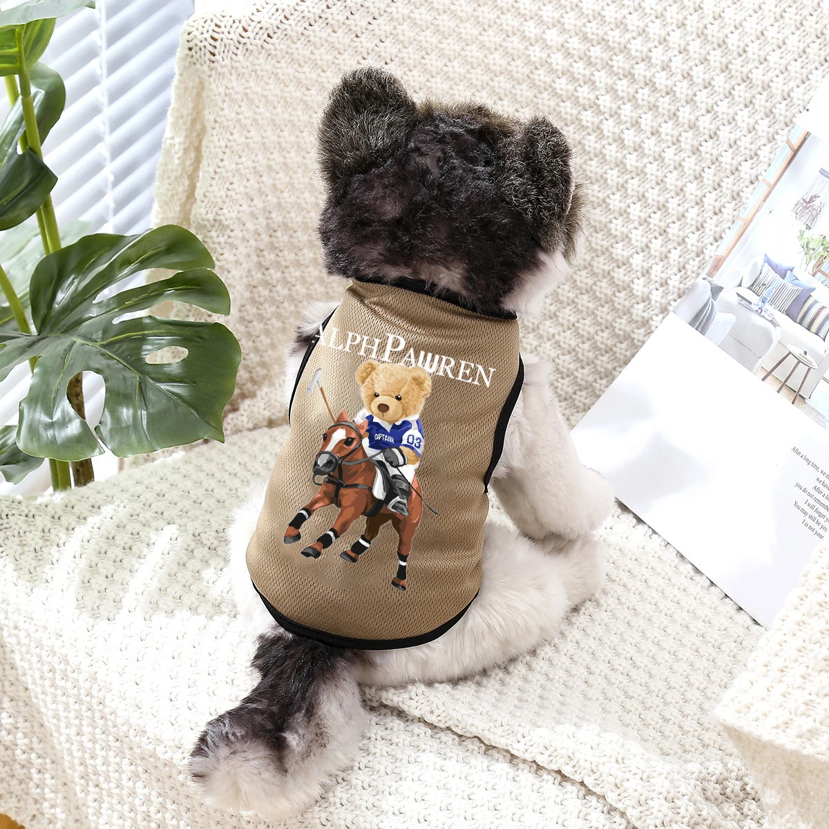 Summer Pet Dog Clothes Mesh Thin Dogs Vest Cute Bear For Small And Medium Chihuahua French Bulldog Pure Cotton T-shirt Puppy