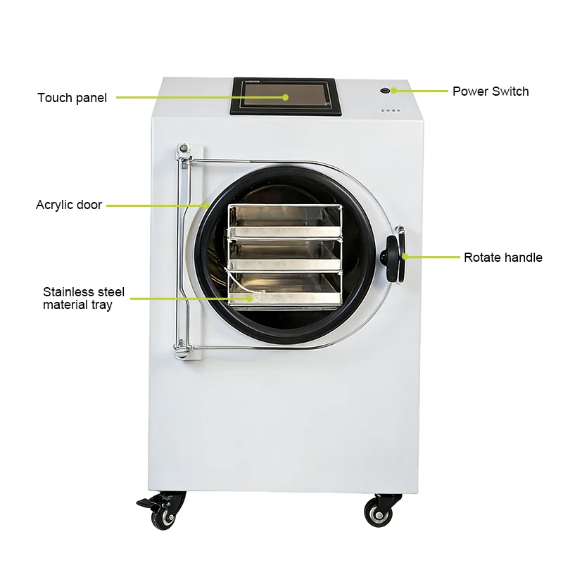 Custom Fully Automatic Small Freeze Dryer Vacuum Freeze Dryer with PLC and Pump for Food Processing, Capacity 5kg, 110V/220V