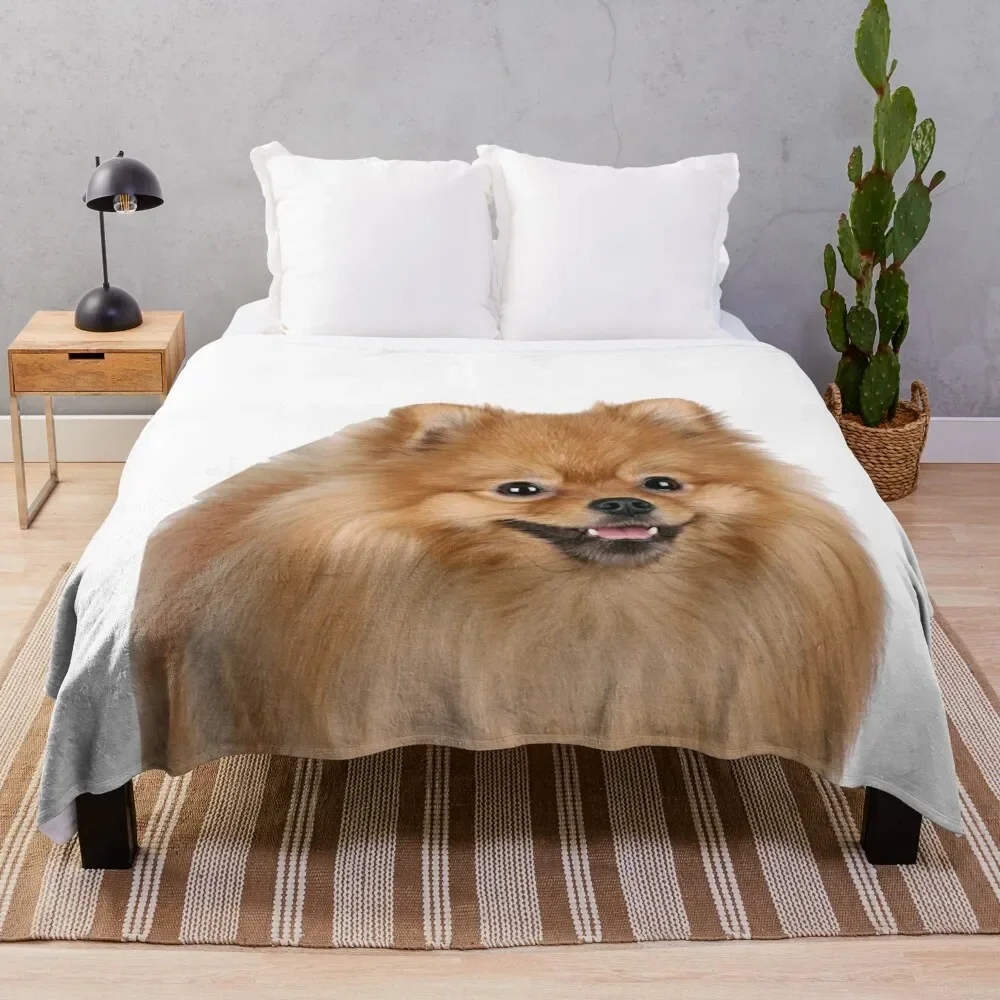 

Pomeranian Throw Blanket Summer Beddings Fashion Sofas Blankets