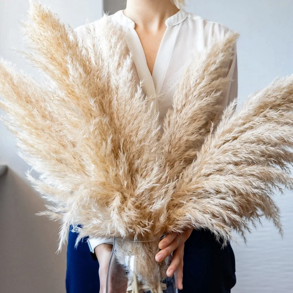 120cm - 130cm Fluffy Large Pampas Grass,Natural Dried Flower Bouquet,Boho Wedding Decoration,Shop Ornament,Vintage Home Decor