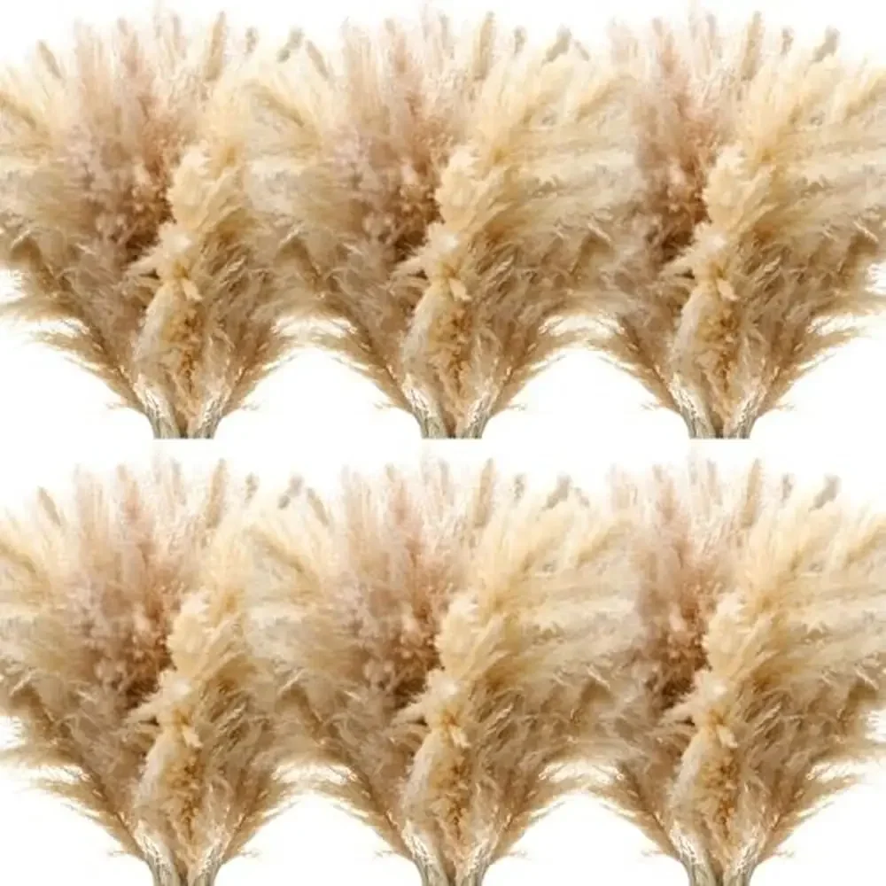 40 "50 pezzi naturale essiccato soffice erba di pampa bouquet matrimonio decorazione floreale vaso pavimento Boho festa fattoria alta canna da parete