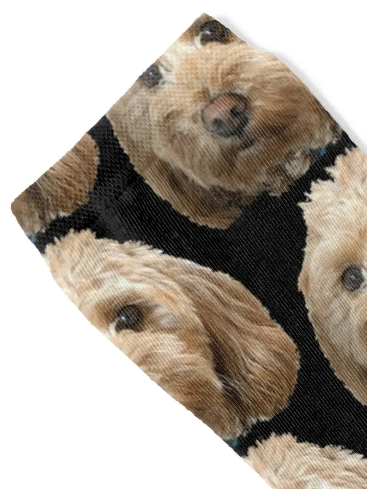 Doggo Socks new year Running with print Children's Socks Female Men's