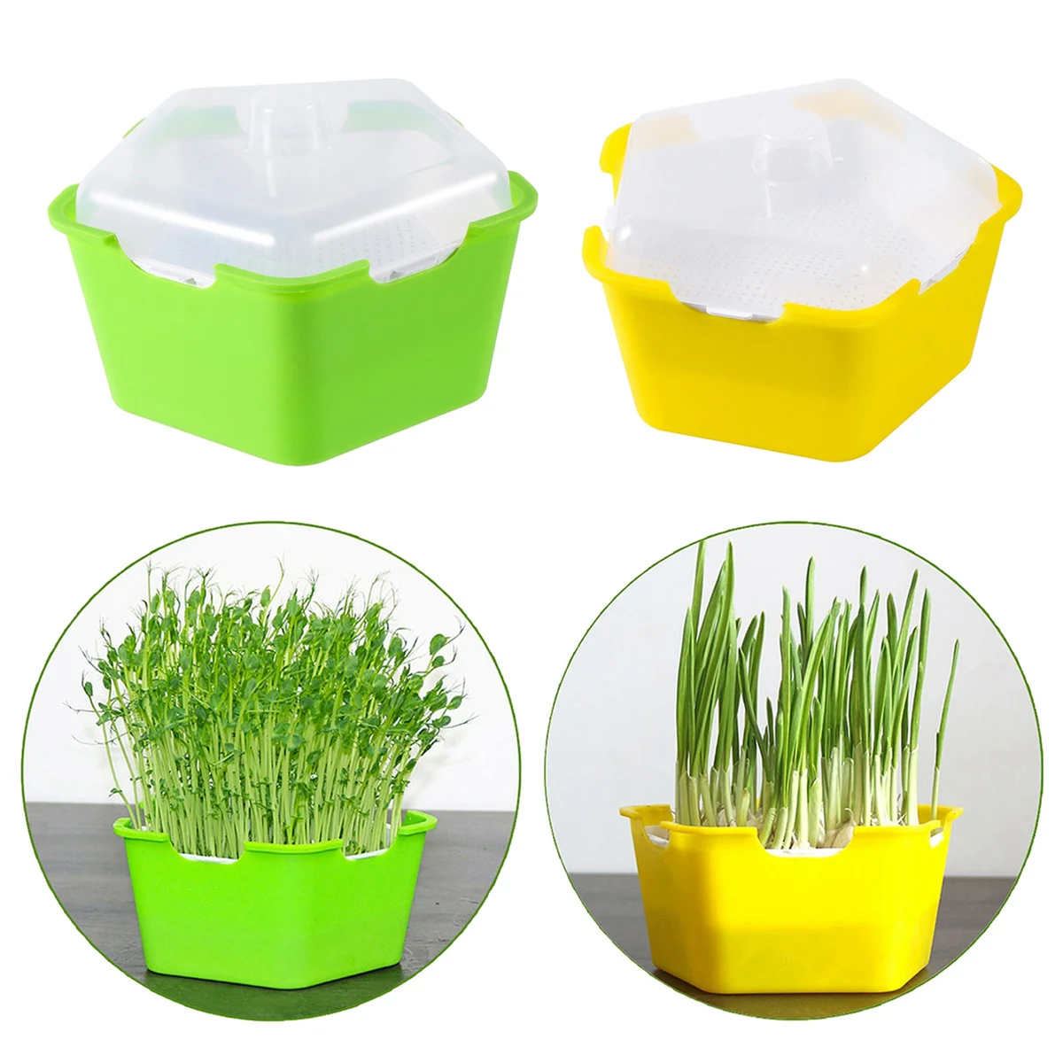 Seed Sprout Tray Bean Sprouts Growing Plate Shading Cover Seed Seedling Starter Dish Hydroponics Plant Germination Nursery Pot