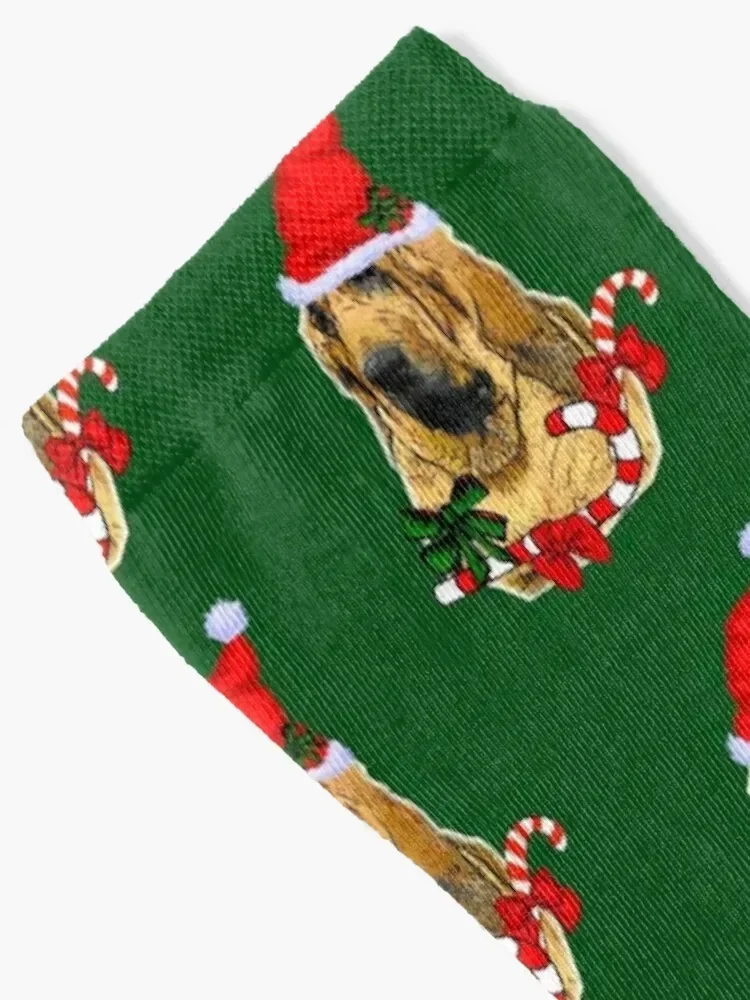 Bloodhound Lovers Christmas Gifts Socks FASHION floor cotton floral Socks Girl Men's