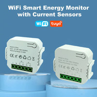 Tuya WiFi Smart Energy Meter for Solar PV System - Transformer CT Bidirectional Monitoring Generation Consume, APP Control Meter
