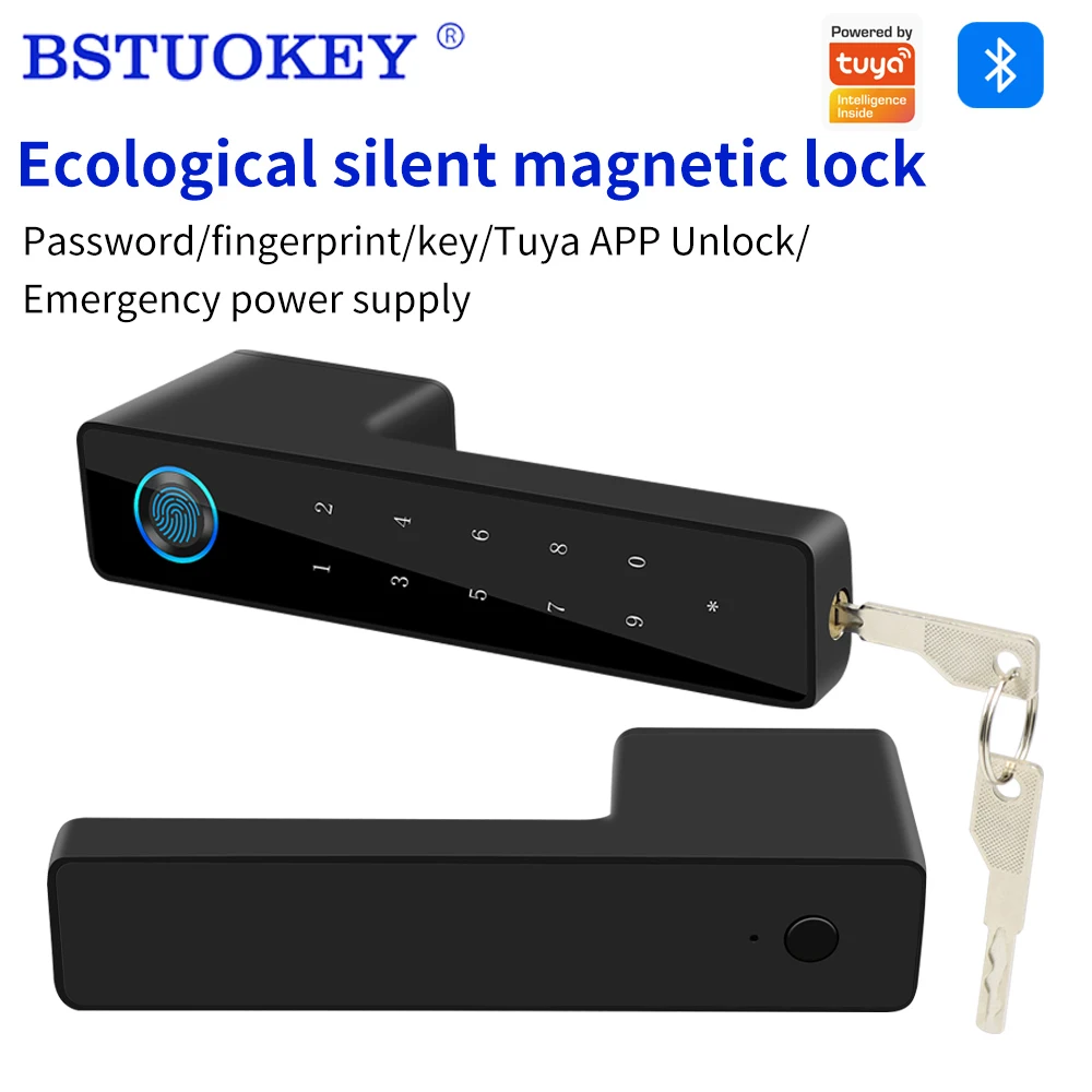 

Support tuya Hidden Keyhole Silent Magnetic Suction Door Lock Fingerprint High Quality Security BedroomLock Double HandleLockset