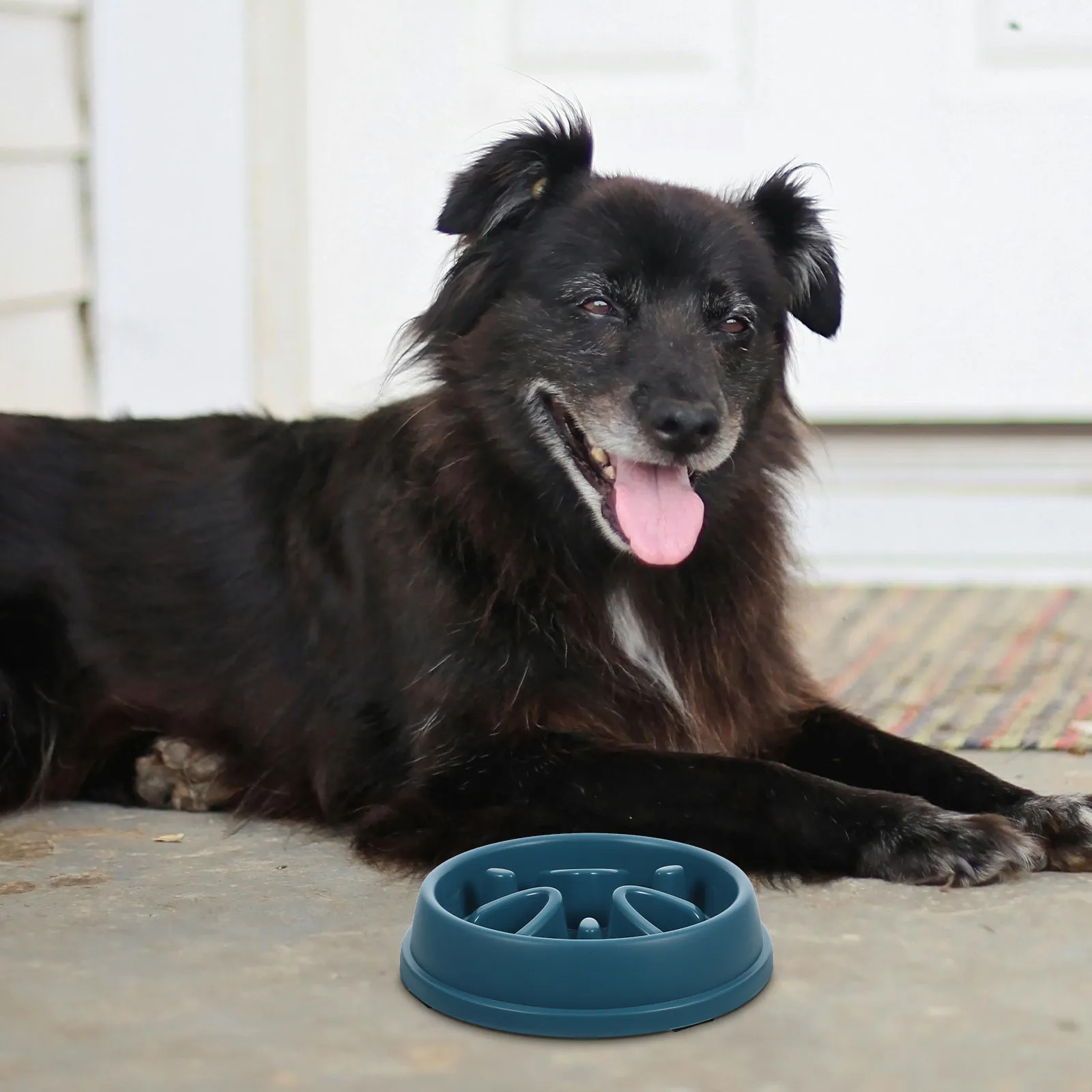 Pet Slow Feeder Bowl ABS Material Round Slow Eating Dog Food Bowl Non-Slip Raised Design Prevent Choking Aid Digestion