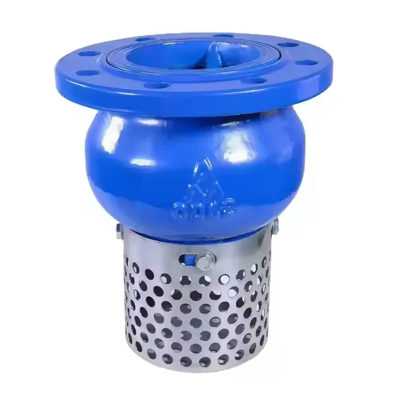 High Quality Hydraulic Control Flange Connection Cast Iron Filter Bottom Valve
