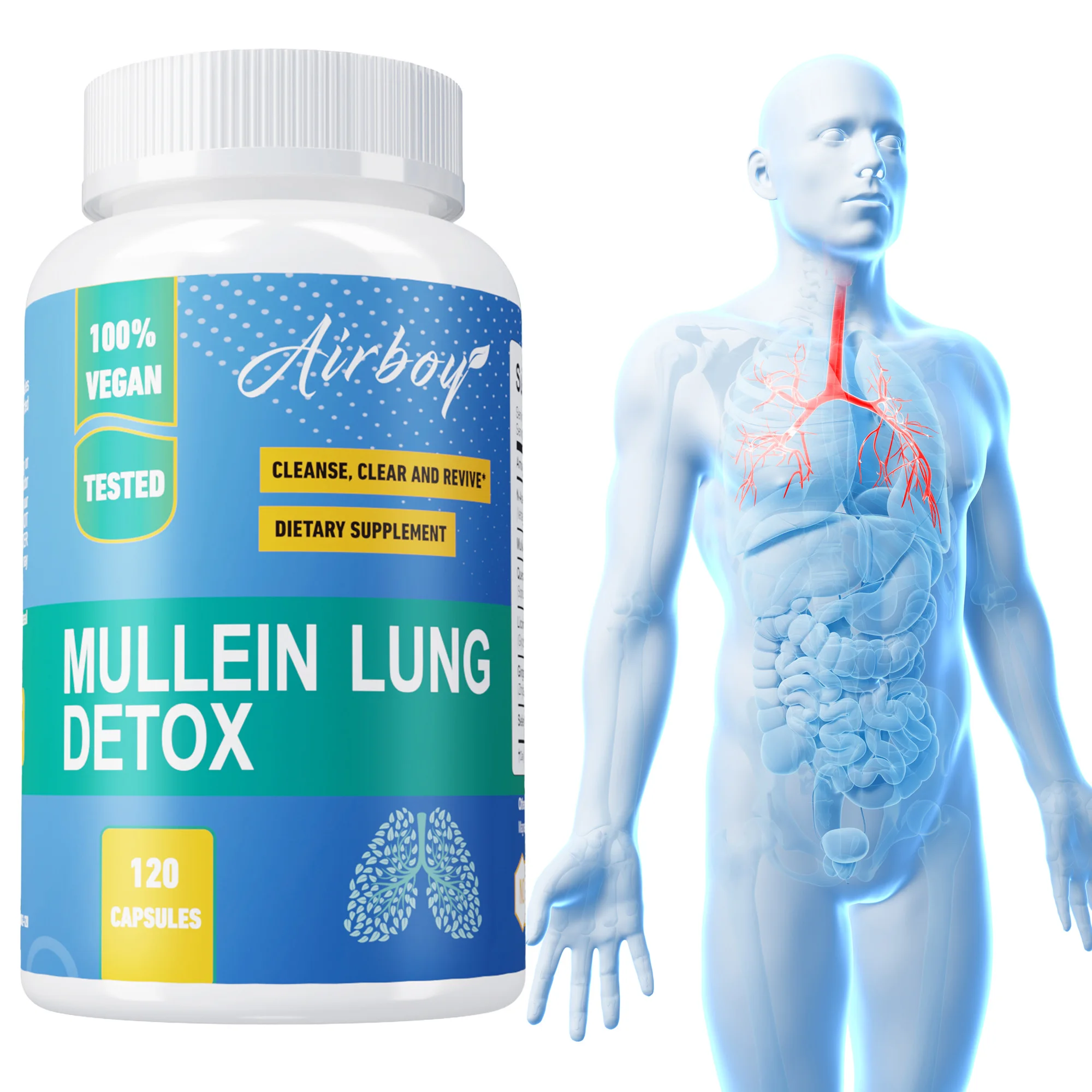 

Капсулы для очищения легких Mullein — очищение легких, способствует здоровью легких, повышает иммунитет, улучшает сон, поддерживает жизненную силу