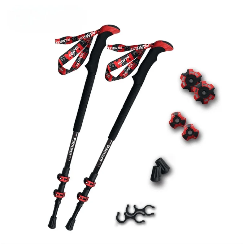 : Bastoncini da nordic walking
