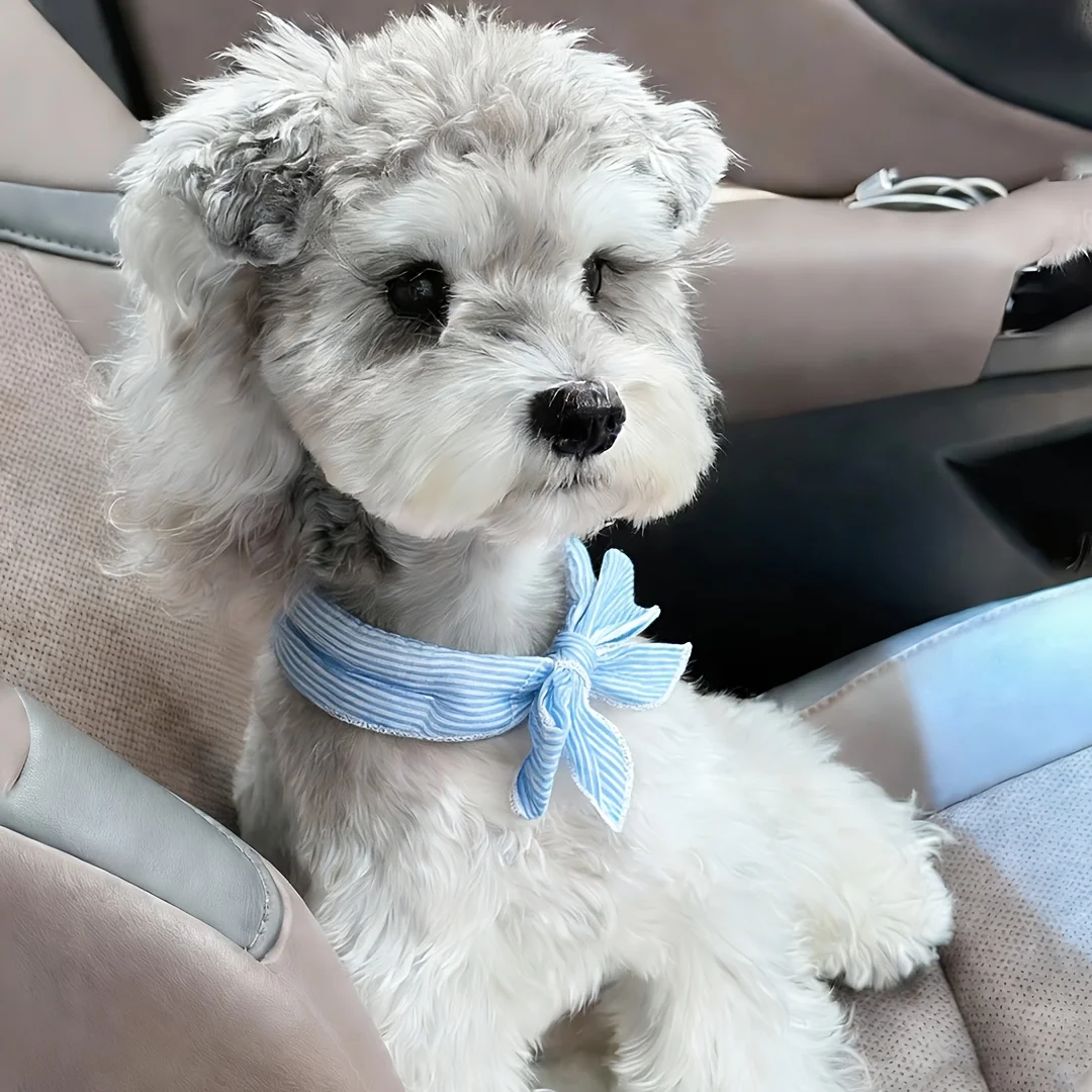 1pc Universal Summer Pet Cooling Ice Scarf,Dog & Cat Neck Collar,Physical Heatstroke Prevention Cool Towel,Outdoor Ice Neck Ring