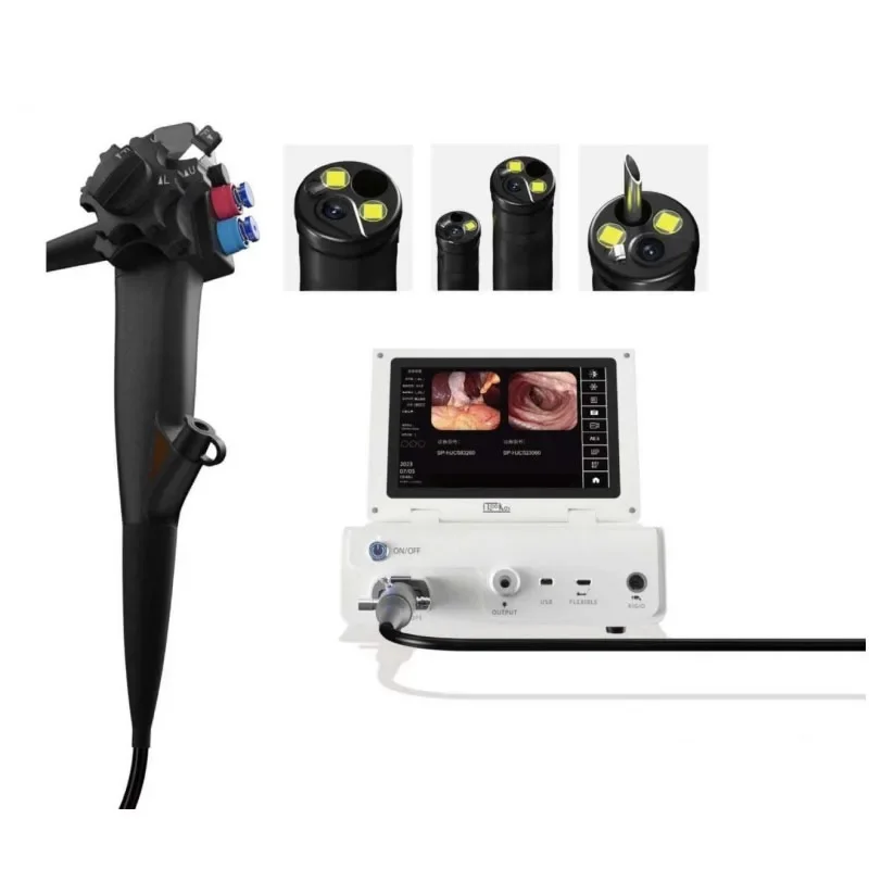 Veterinary Diagnostic Equipment Electronic Digital Gastroscope and Colonoscope Used by Animals Veterinary Flexible Gastroscope