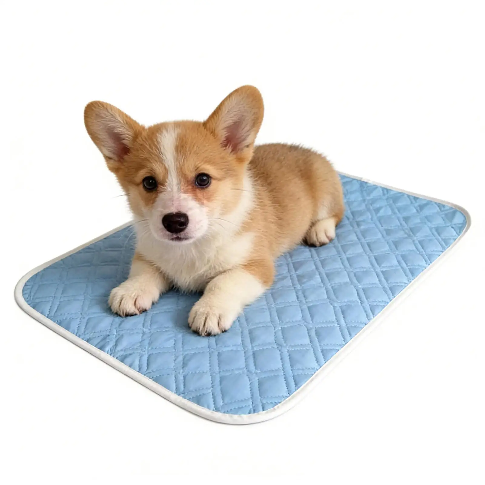 45x35cm Pet Cooling Pad Dog Sweat Absorbent Sleeping Rug Soft Self Cooling Pet Mat Dog Cooling Mat Summer Pet Cold Bed Blanket