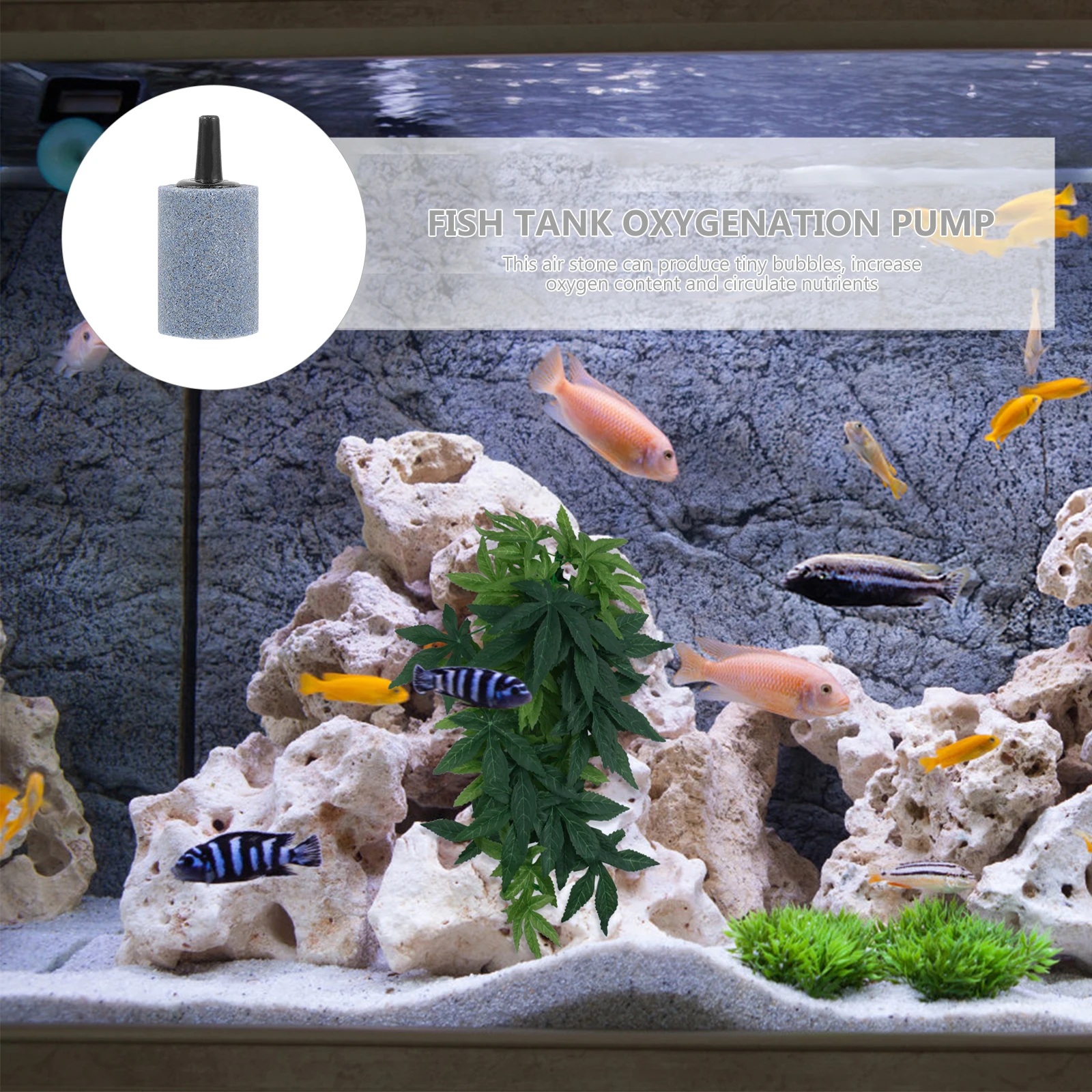 

5Pcs Aquarium Air Stone Durable Bubble Stones for Fish Tank Oxygen Increase Aquarium Bubble Stone Hydroponic Nutrient Tank