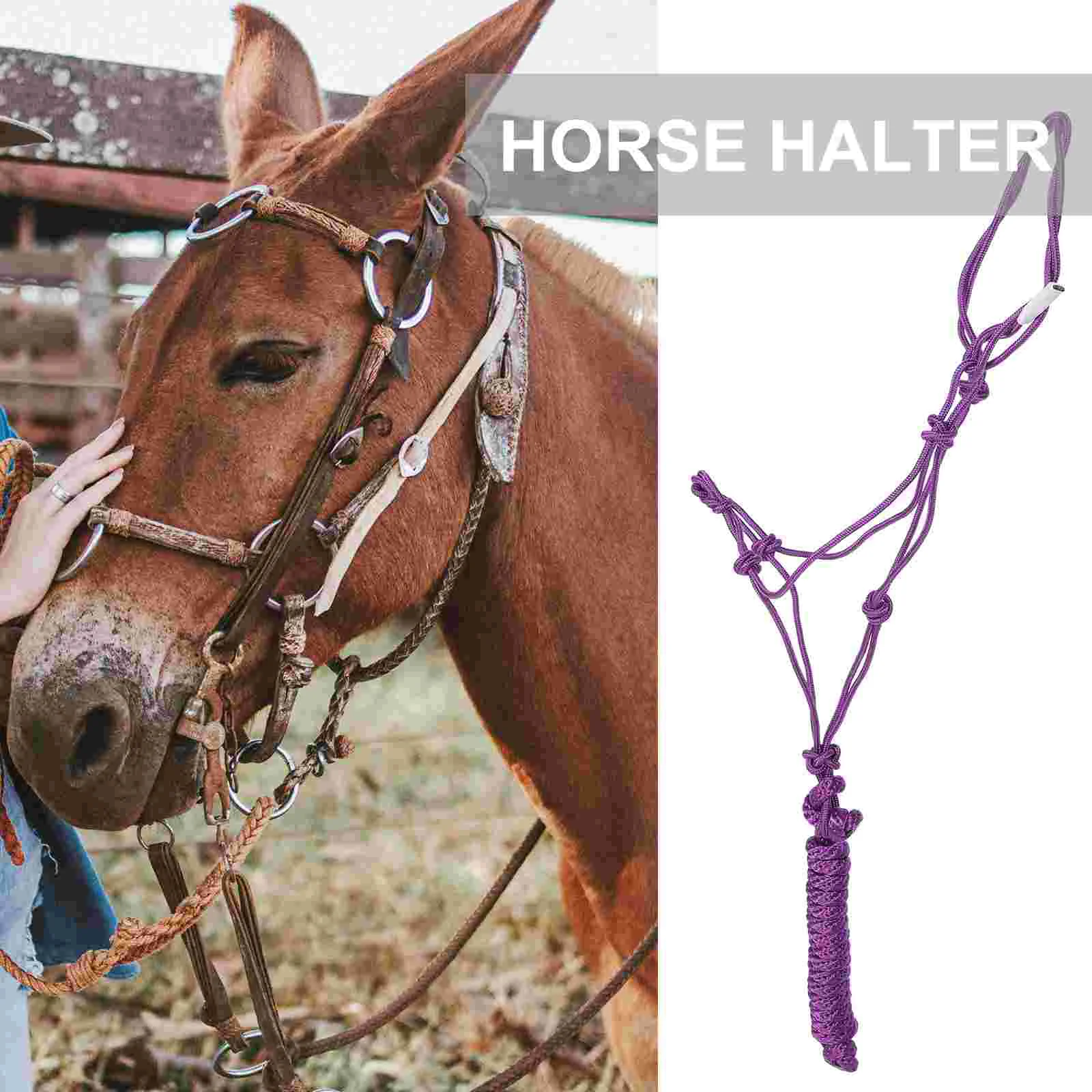 Halter Tressé Portable pour Cheval Western, Nministériels d Rigide, Grill, Collier de Poitrine, Fourniture de Document Aléatoire