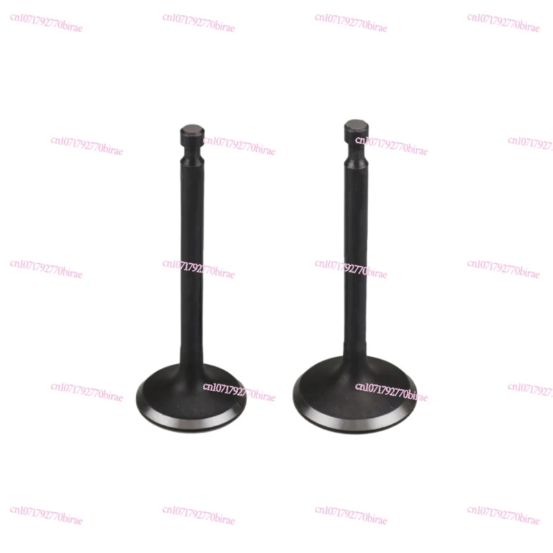 

Gasoline Generator 2/3/8 KW Valve Water Pump Micro Tiller 168/170F/188/190f Intake and Exhaust Valve