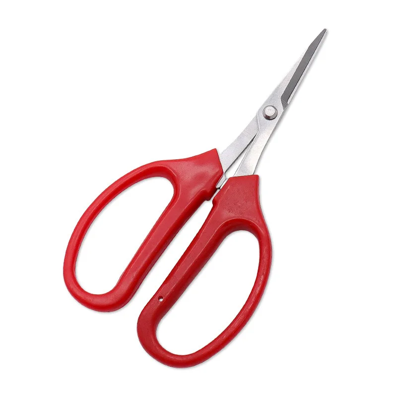 Head Grape Fruit Trimming Scissors, Thin  Scissors, Pepper Picking Fruit and Vegetable  Scissors,  Picking Pruning