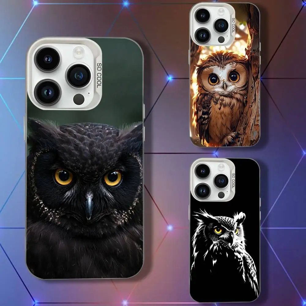 

Animal Owl Phone Case For iPhone 16,15,14,13,12,11,Pro,XS,Max,Plus,Mini,SE White Candy Matte Shockproof Cover