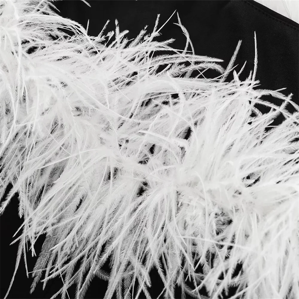 2024 RARA Feather Decoration Simple Temperament Slim Fit Hip-hugging Sexy Tube Top Dress Short Skirt Women